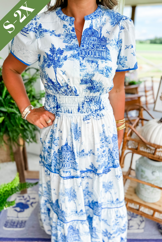 Women's Charming Toile Maxi Dress