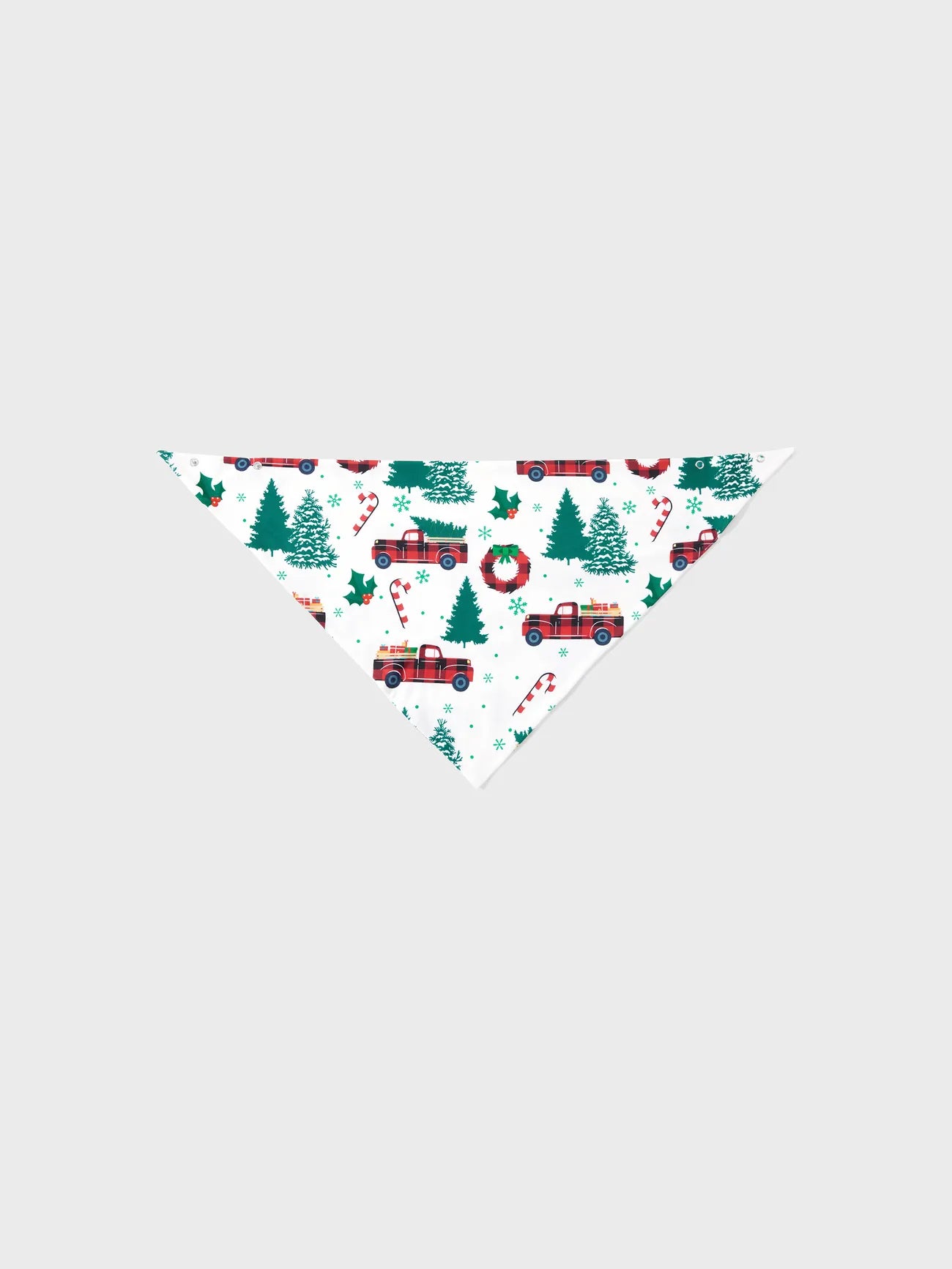 ✨🎄Family Christmas Pajamas Sets