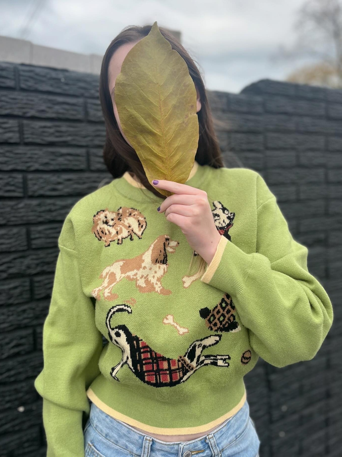 Women's Playful Puppy Pattern Relaxed Fit Knit Top